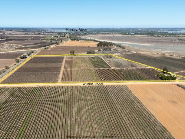 House for sale in Cobdogla, South Australia