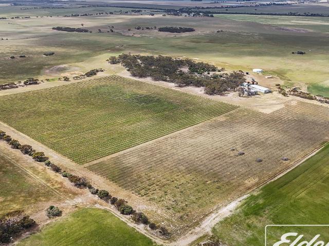 Cottage for sale in Langhorne Creek, South Australia