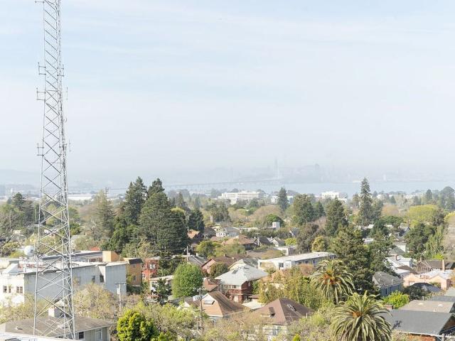 Apartment for rent in Berkeley, California