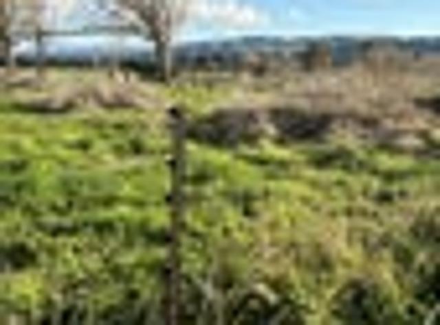 Land for sale in Tararua District