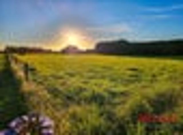 Land for sale in Hakatere, Canterbury