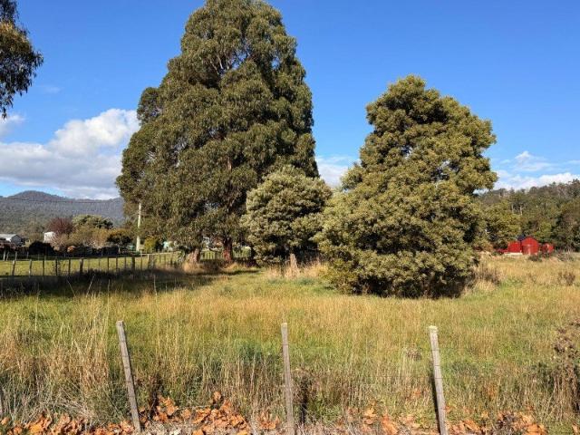 Land for sale in Meander, Tasmania