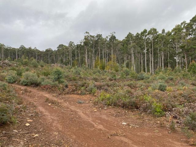 Property for sale in Reedy Marsh, Tasmania
