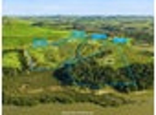 Land for sale in Northland