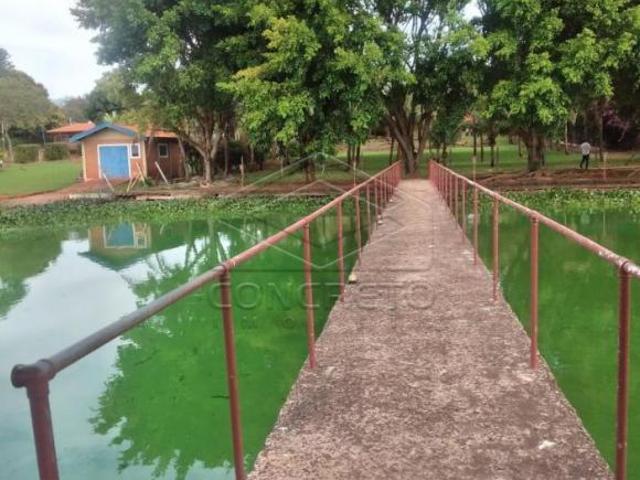 Sitio venda em Pederneiras, Pederneiras