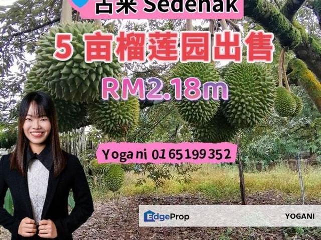 Shop for sale in Sedenak, Johor