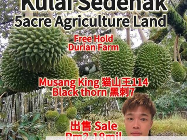 Shop for sale in Sedenak, Johor