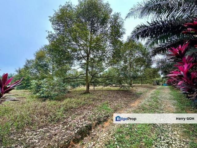 Shop for sale in Sedenak, Johor