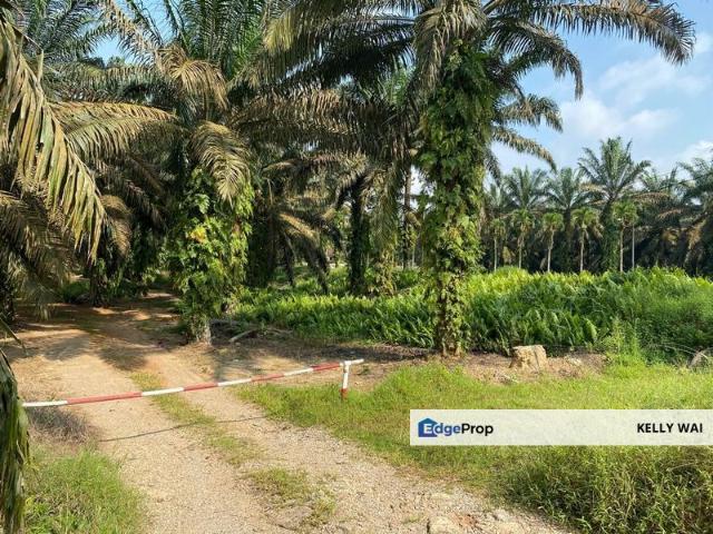 Shop for sale in Sedenak, Johor