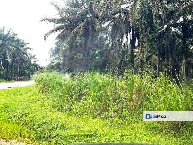 Shop for sale in Sedenak, Johor