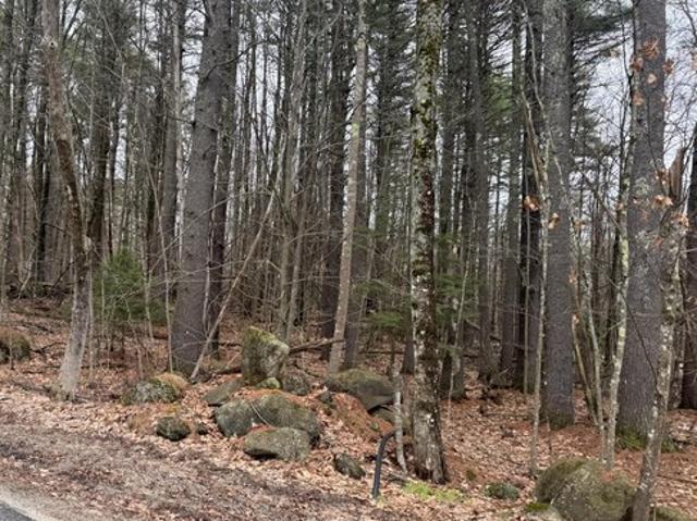 Land for sale in Limerick, Maine