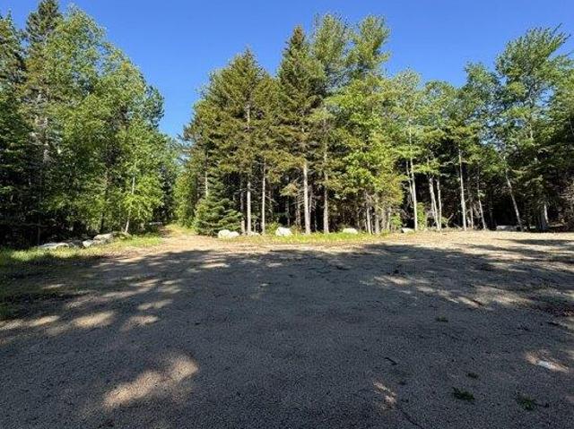 Land for sale in Sedgwick, Maine