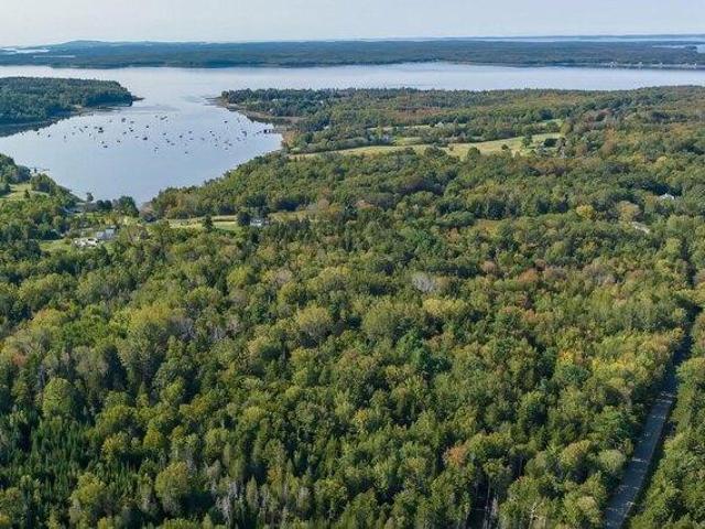 Land for sale in Sedgwick, Maine