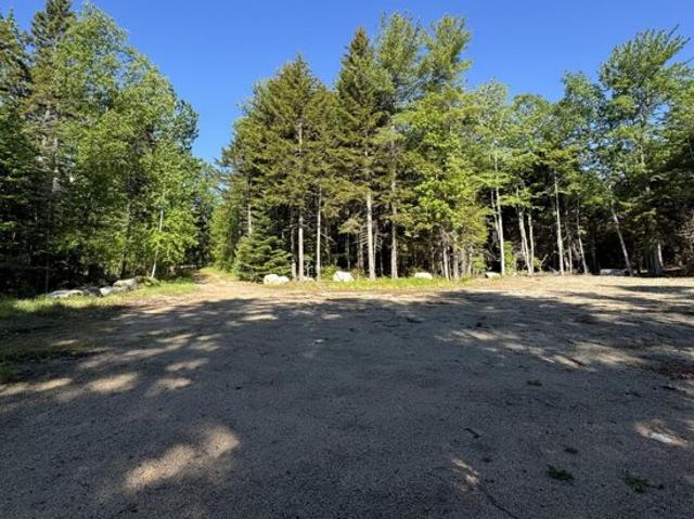 Land for sale in Sedgwick, Maine