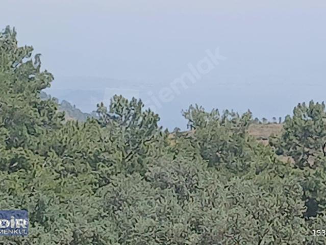 Dalaman, Muğla içerisinde satılık mülk
