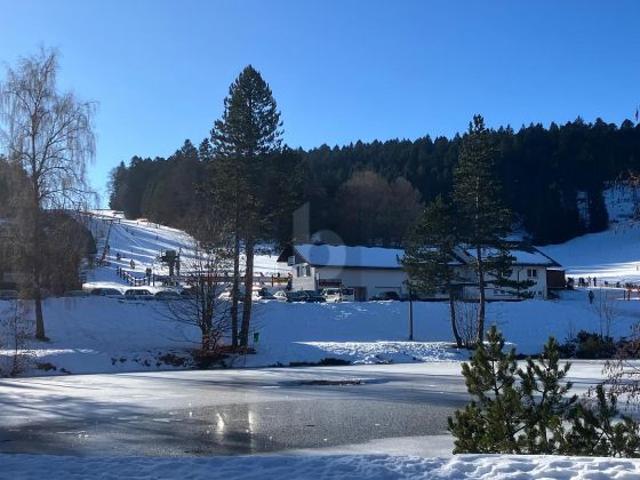 Wohnung kaufen in Herrischried, Landkreis Waldshut
