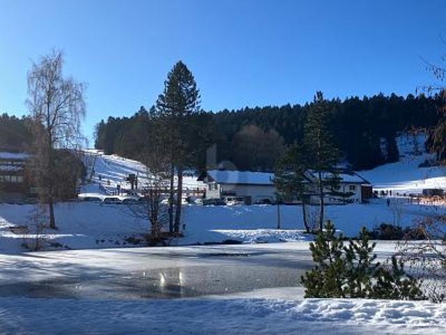 Wohnung kaufen in Herrischried, Landkreis Waldshut