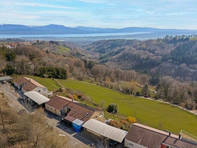 Einfamilienhaus kaufen in Bassins, Waadt
