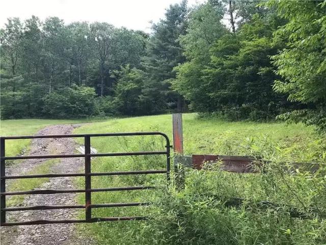 House for rent in Oneonta