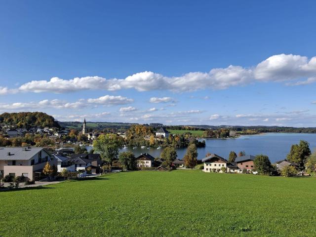 Apartment kaufen in Mattsee, Salzburg