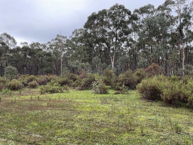 Cottage for sale in Bendigo, Victoria