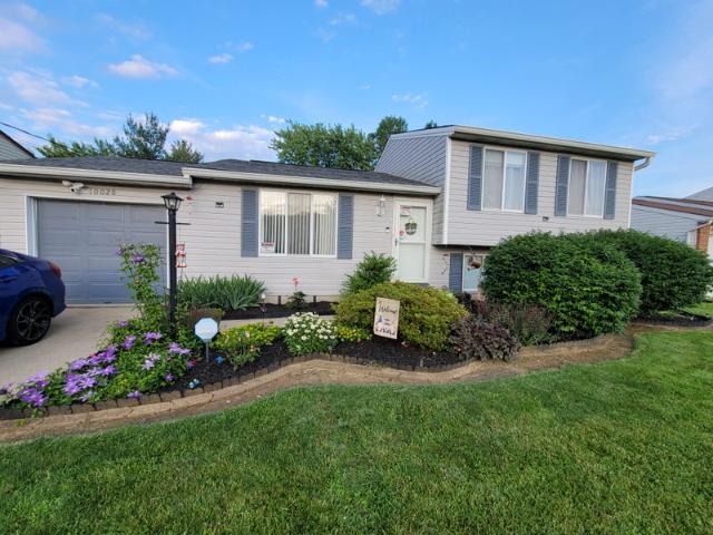 Room for rent in Roselawn, Ohio