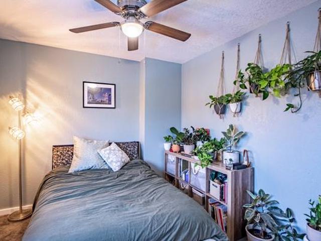 Room for rent in Denver, Colorado