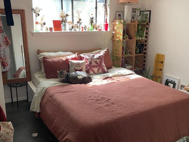 Room for rent in Austin, Texas