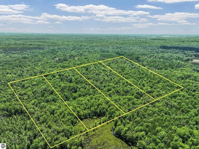 Land for sale in Lake City, Michigan