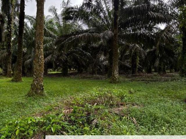 Shop for sale in Seelong, Johor