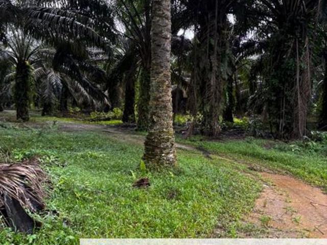 Shop for sale in Seelong, Johor