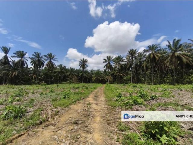 Warehouse for sale in Kulai, Johor