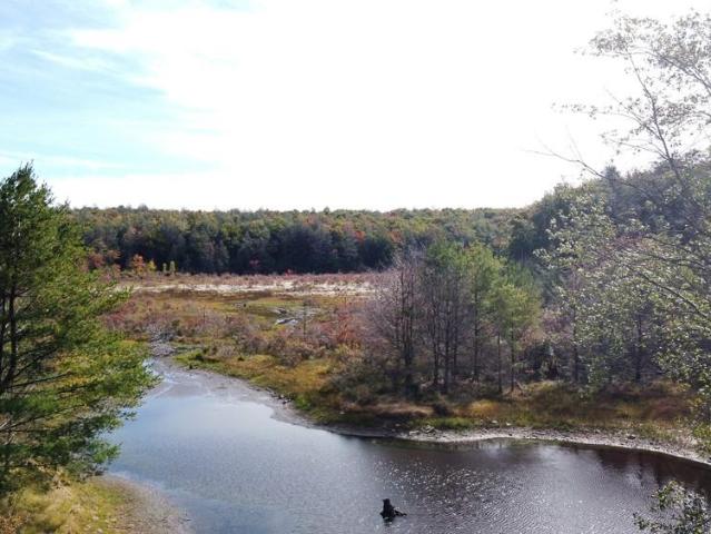 Land for sale in Town of Neversink, Sullivan County