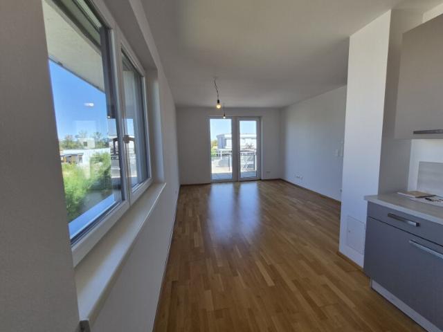 Wohnung mieten in Fels am Wagram, Niederösterreich