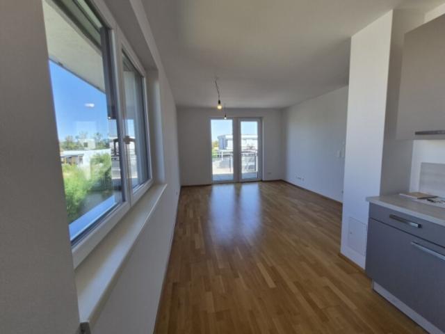 Wohnung mieten in Fels am Wagram, Niederösterreich