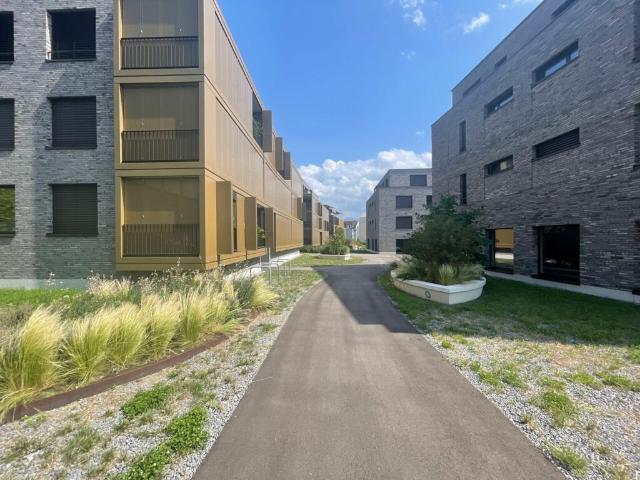 Wohnung mieten in Rapperswil-Jona, St. Gallen