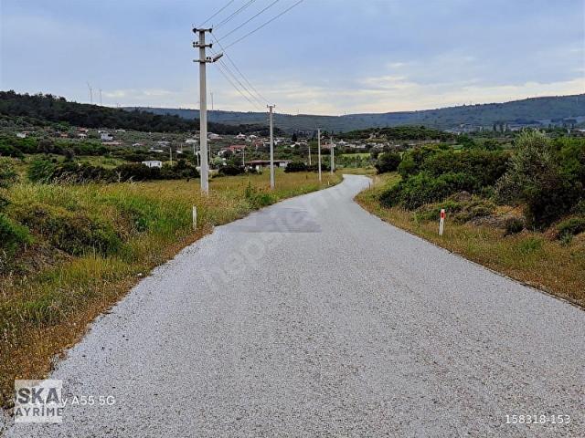 Düzce Mahallesi, Seferihisar içerisinde satılık Arsa