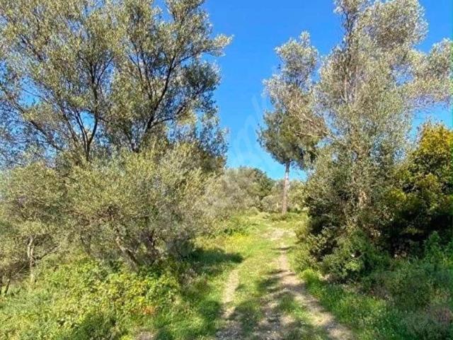 Seferihisar, İzmir içerisinde satılık mülk