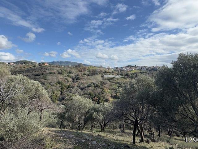 Seferihisar, İzmir içerisinde satılık mülk