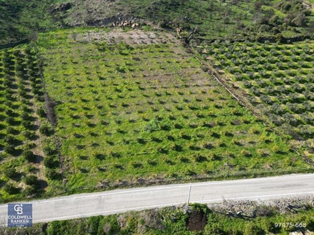 Seferihisar, İzmir içerisinde satılık Arsa