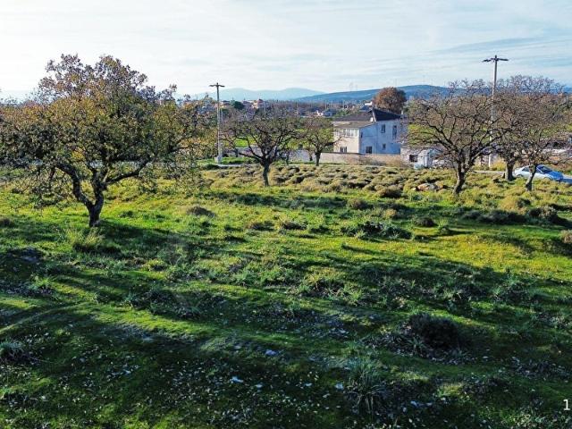 Seferihisar, İzmir içerisinde satılık Arsa