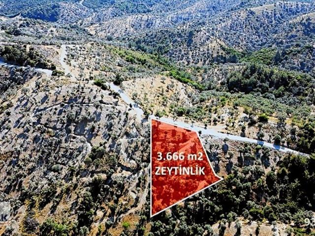 Seferihisar, İzmir içerisinde satılık mülk