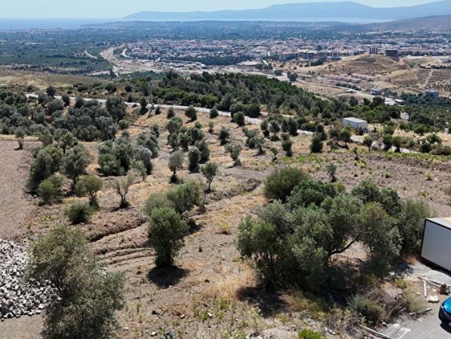 Seferihisar, İzmir içerisinde satılık mülk