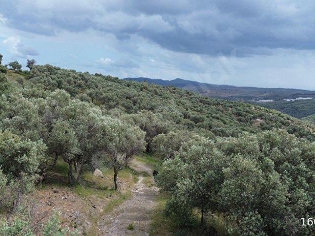 Seferihisar, İzmir içerisinde satılık mülk