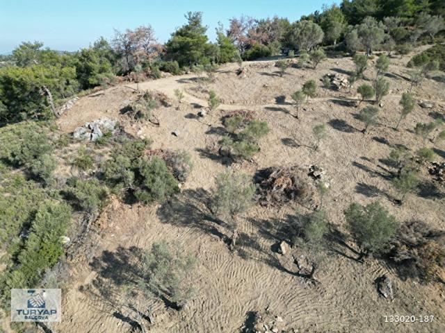 Seferihisar, İzmir içerisinde satılık Arsa