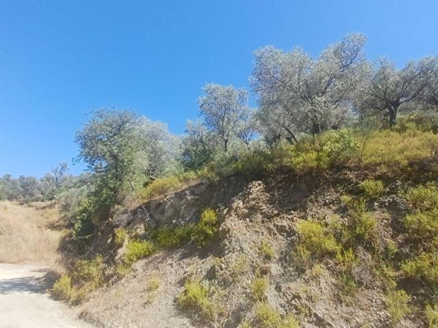 Seferihisar, İzmir içerisinde satılık mülk