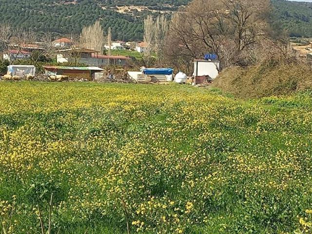 Seferihisar, İzmir içerisinde satılık Arsa