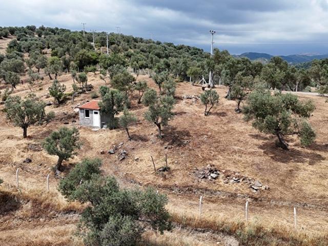 Seferihisar, İzmir içerisinde satılık mülk