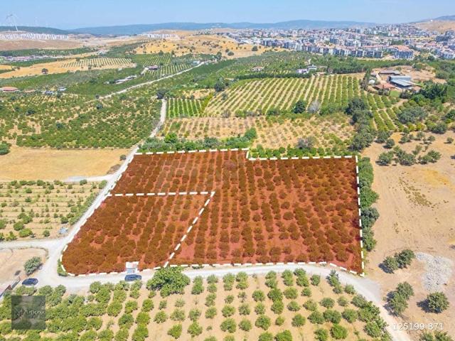 Seferihisar, İzmir içerisinde satılık Arsa