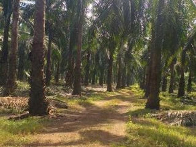 Shop for sale in Segamat, Johor